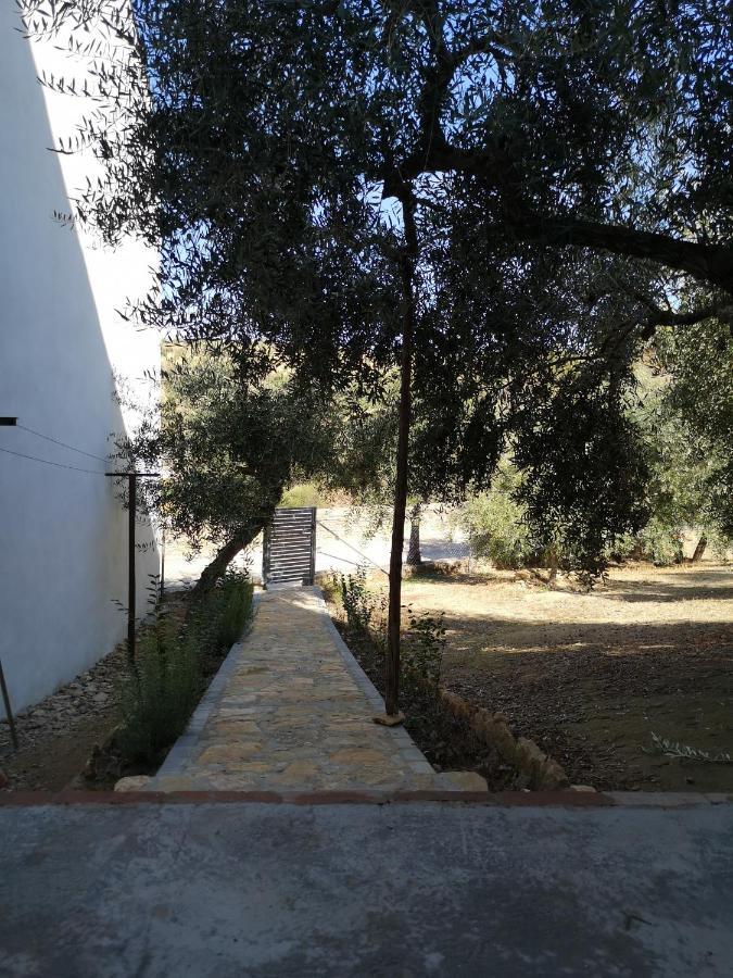 Apartamento El Carmen Setenil De Las Bodegas ภายนอก รูปภาพ